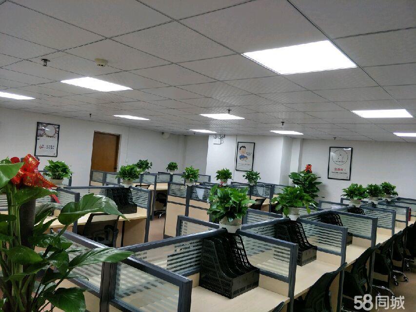 专业商务信息咨询的力量——聚焦茂名市天弘商务信息咨询